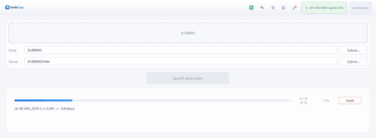 main window mid-run, progress bar and counts